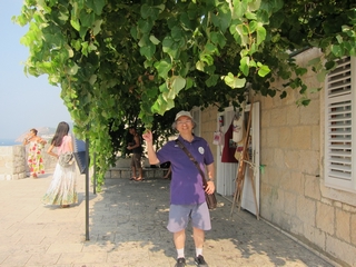 D12_01-06-01_At a house top on the fort of Dubrovnik (Croatia)