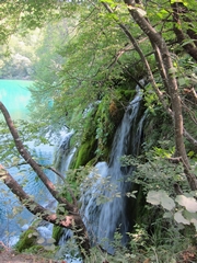 D06_01-02-01_Ciginovac Jezero 1 (Plitvice Lakes National Park, Slovenia)
