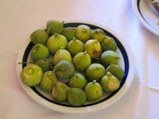 D08_02-02-02_The figs we had (Kastela near Trogir, Croatia)