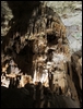 D03_03-03-02_More of interior scenes 2 (Postojna Cave, Slovenia).jpg