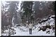 D07-02-07_Strolling around Lake Geneva, at High Tatras, Slovakia.jpg