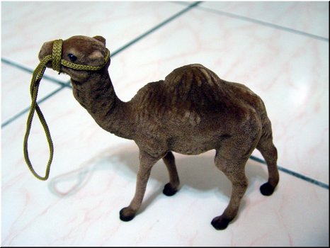 10 A toy came (bought at the Great Sphinx in Giza).JPG