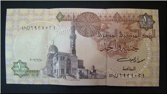 17 An Egyptian bill (one pound ~ 5.5 NT dollars at the time 2004.2).JPG