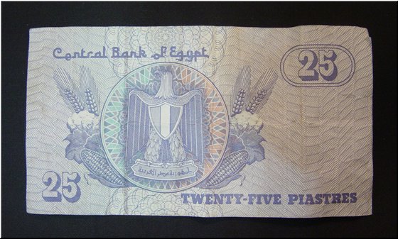 20 The back of 25-piastres bill.JPG