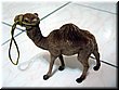 10 A toy came (bought at the Great Sphinx in Giza).JPG
