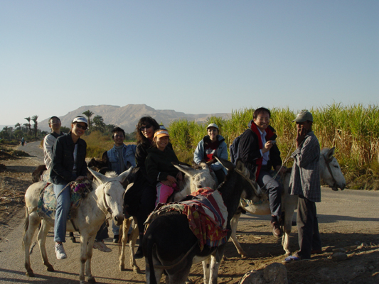 11 Our group of donkey riders