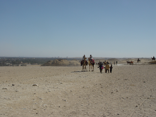 08 Desert scene 8