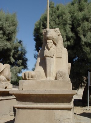 Egypt 2004---D05-01-11 An enlargement of a sphinx.jpg