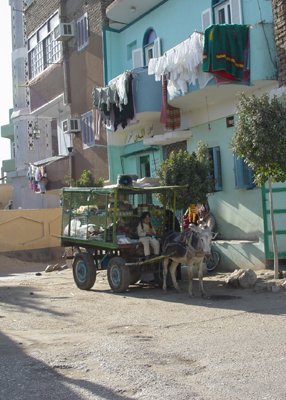 Egypt 2004---D05-03-04 A grocery store on a donkey cart.jpg