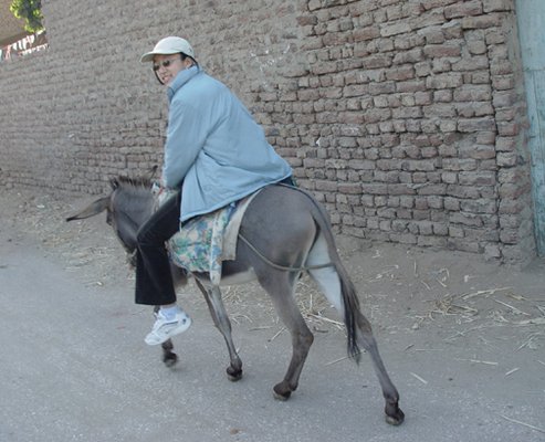 Egypt 2004---D05-03-09 Donkey riding in Luxor.jpg