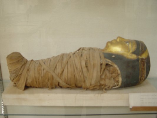 Egypt 2004---D11-03-07 A child's  mummy.jpg