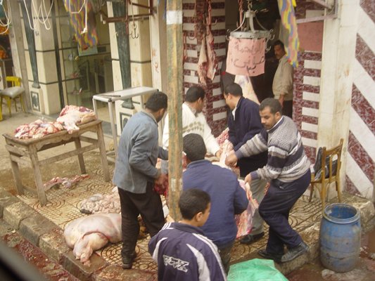 Egypt 2004---D11-07-06 People killing goats.jpg