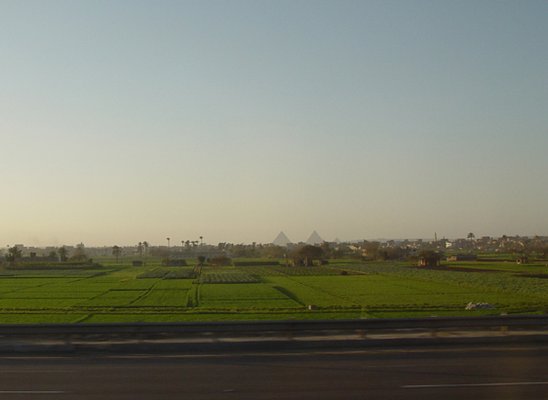 Egypt 2004---D12-02-03 A typical Egypt country farm scene seen on way to Cairo.jpg