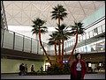 Egypt 2004---D01-02 -01 Transfer at Hong Kong Airport.jpg