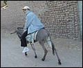 Egypt 2004---D05-03-09 Donkey riding in Luxor.jpg