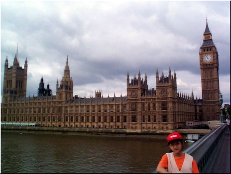 10 Parliament seen from Westminster Bridge, London, UK.jpg