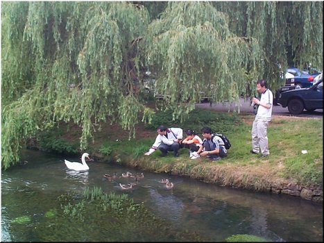 24 Bibury, UK.jpg