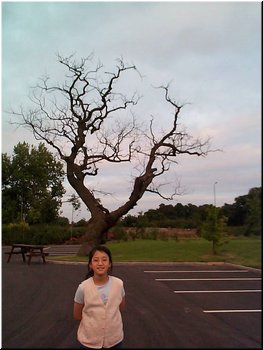 41 In a pasture beside Grosvenor Hotel in Pulford, UK.jpg