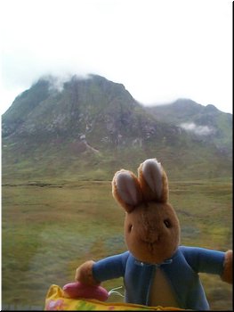 51 Peter Rabbit in Scotland Highland, UK.jpg