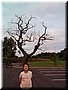 41 In a pasture beside Grosvenor Hotel in Pulford, UK.jpg