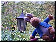 47 Peter Rabbit walking around Lake Windermere, UK.jpg