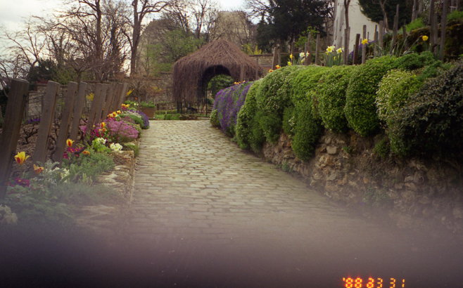07 A pretty private garden near Agile Rabbit House