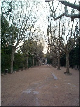 04-02-06-02 An image of the same spot taken by us.jpg