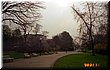 03-30-05-03 Champs-Elysees Garden.jpg