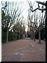 04-02-06-02 An image of the same spot taken by us.jpg