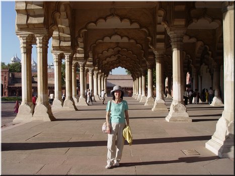 Day 5 --- 13 Agra Fort (at Diwan-i-Am).jpg