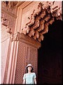 Day 5 --- 08 Agra Fort (in Jehangir's Palace).jpg