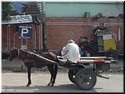 02 A horse dray.jpg