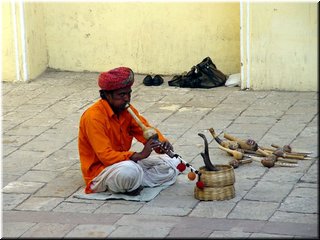 03 Playing a rattkesnake in City Palace Museum in Jaipur.jpg