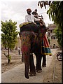 Special topics --- 02-03 Transportation tools (a rented elephant).jpg