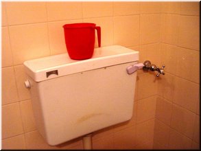 13 The cup is for Indian people to wash the bottom after poo poo.jpg
