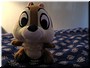 06 A show of Meimei's stuffed animals A (taken by Meimei).jpg