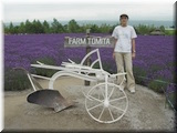 01-Tomita_Farm(Pictures).JPG