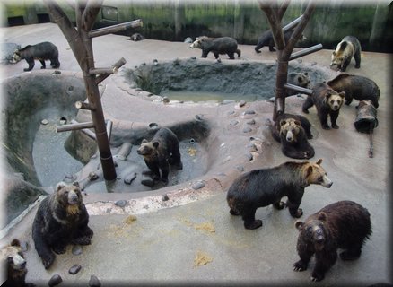 02-04-01-07 We saw many bears in Noboribetsu Bear Farm.jpg