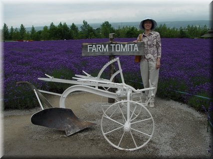 04-04-01-01 Tomita Farm in Furano.jpg