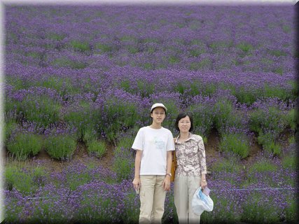 04-04-01-02 Before a big lavender field in Tomita Farm.jpg