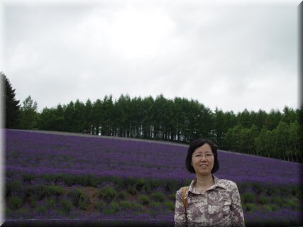 04-04-01-09 What a harmonious lavender field.JPG