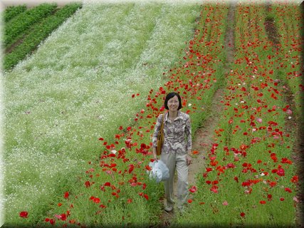 04-04-01-11 Before a poppy flower field in Tomita Farm.JPG