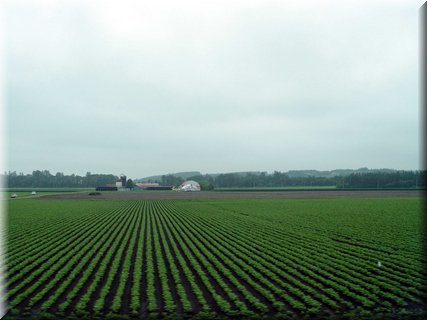 05-03-03 An Obihiro Countryside scene.JPG