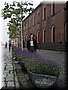 01-03-06 The first encounter with lavender in Hokkaido.JPG