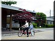 02-02-02-003 Papa riding a 2-seated bicycle with Meimei at Onuma Park.jpg