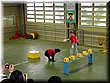 02-04-01-05 A bear show showing intelligence of recognizing numerals in Noboribetsu Bear Farm.jpg