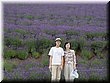 04-04-01-02 Before a big lavender field in Tomita Farm.jpg