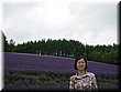 04-04-01-09 What a harmonious lavender field.JPG