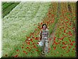 04-04-01-11 Before a poppy flower field in Tomita Farm.JPG