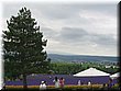 04-04-01-14 A full view of the first lavender field in Tomita Farm.jpg